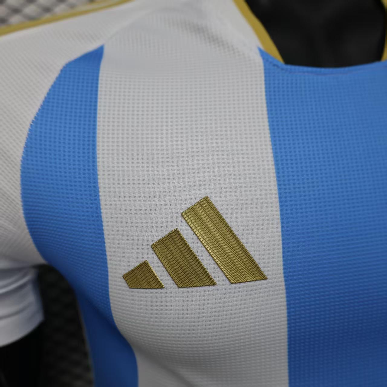 2025 Player Argentina Home - Fitted Cut