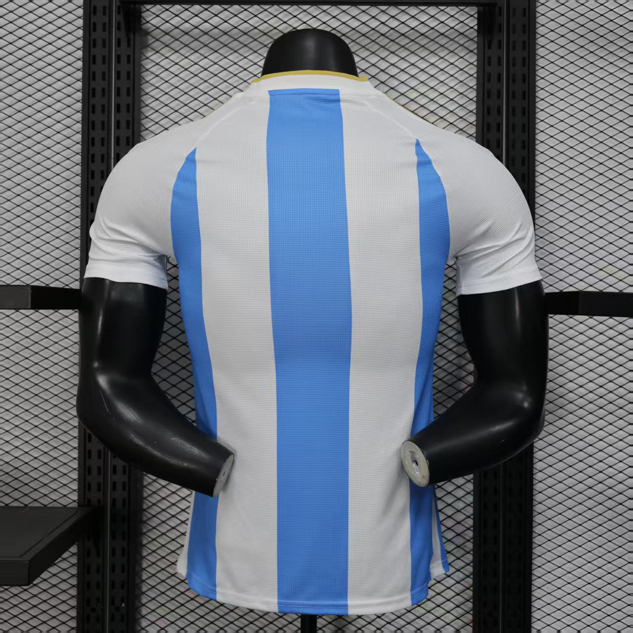 2025 Player Argentina Home - Fitted Cut
